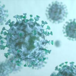 Koronavirus – informační kanál Lysá nad Labem